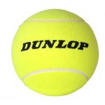 Dunlop Dungb